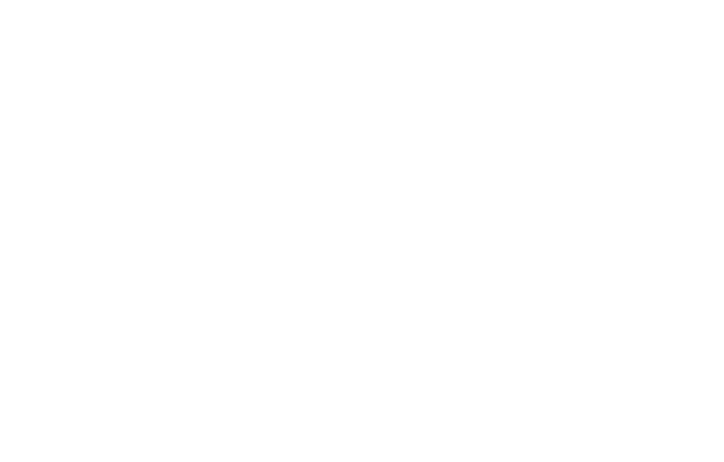 NPS Byg